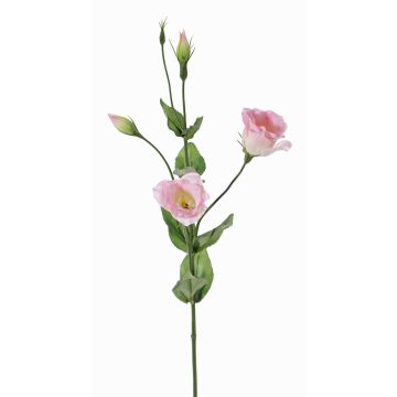 Lisianthus finto JUDIKA, rosa-bianco-verde, 70cm, Ø6-7cm