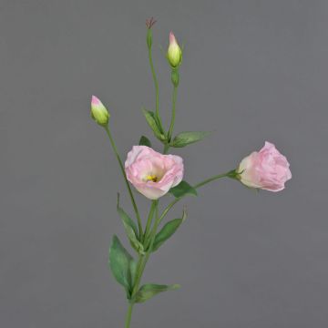 Lisianthus finto JUDIKA, rosa, 70cm, Ø5cm
