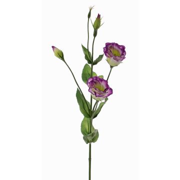 Lisianthus finto JUDIKA, verde-viola, 70cm, Ø5cm Lisianthus finto JUDIKA, verde-viola, 70cm, Ø5cm