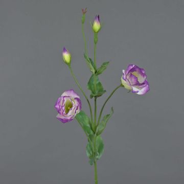 Lisianthus finto JUDIKA, verde-viola, 70cm, Ø5cm