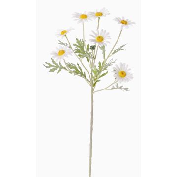 Margherita finta LEONIA, bianco, 60cm, Ø5cm Margherita finta LEONIA, bianco, 60cm, Ø5cm