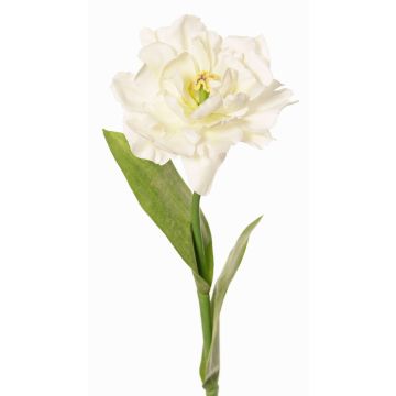 Tulipano pappagallo finto STEFANIE, bianco-verde, 65cm, Ø7cm Tulipano pappagallo finto STEFANIE, bianco-verde, 65cm, Ø7cm