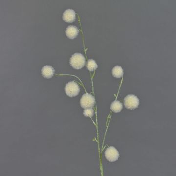 Allium finto EMRAH, crema, 80cm, Ø2-4cm