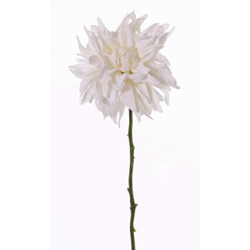 Dalia di plastica SMILA, crema, 55cm, Ø12cm Dalia di plastica SMILA, crema, 55cm, Ø12cm