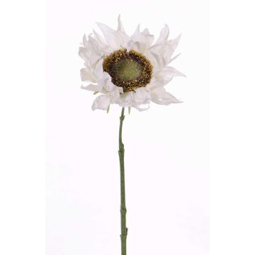 Girasole finto JANIKA, bianco, 60cm, Ø13cm Girasole finto JANIKA, bianco, 60cm, Ø13cm