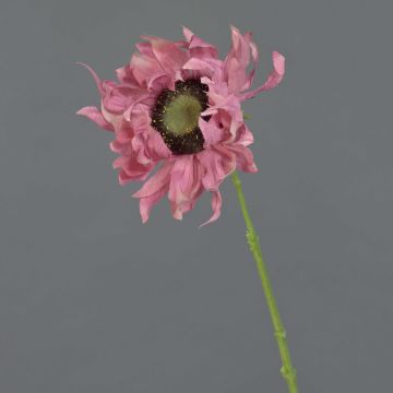 Girasole finto JANIKA, fucsia, 60cm, Ø12cm