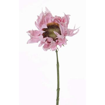 Girasole finto JANIKA, rosa pallido, 60cm, Ø13cm Girasole finto JANIKA, rosa pallido, 60cm, Ø13cm
