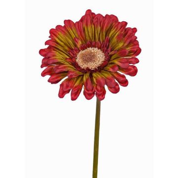Gerbera finta ANNEMARIE, rosso-verde, 50cm, Ø10cm Gerbera finta ANNEMARIE, rosso-verde, 50cm, Ø10cm