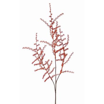 Ramo finto di Asparagus acutifolius HANS, arancione, 70cm