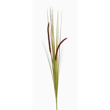 Erba di coda di volpe decorativa JILL, su stelo, pannocchie, verde-viola, 90cm
