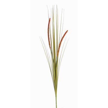 Erba decorativa di coda di volpe JILL, su stelo, pannocchie, verde-rosso, 90cm Erba decorativa di coda di volpe JILL, su stelo, pannocchie, verde-rosso, 90cm