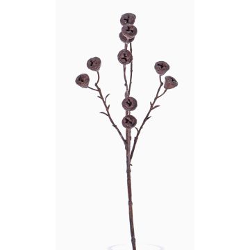 Ramo di eucalipto artificiale BASILIUS con frutti, marrone, 60cm Ramo di eucalipto artificiale BASILIUS con frutti, marrone, 60cm