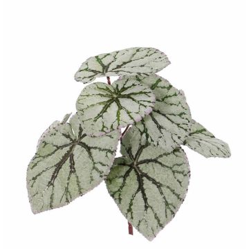 Begonia rex di plastica KATRICE su stelo, verde-grigio, 25cm