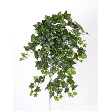 Pianta pensile di edera artificiale TILL, su stelo, zona trasversale, verde-bianco, 65cm