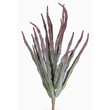 Euphorbia trigona finta REESE su stelo, rosso-verde, 30cm, Ø20cm Euphorbia trigona finta REESE su stelo, rosso-verde, 30cm, Ø20cm