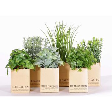 Erbe aromatiche artificiali CHUCK in vaso di carta, 6 pezzi, verde, 15-25cm Erbe aromatiche artificiali CHUCK in vaso di carta, 6 pezzi, verde, 15-25cm