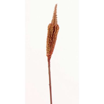 Bulbinella finta TALUNA, marrone-rosso, 65cm, Ø4cm
