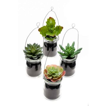 Succulente artificiali a cascata LASEO in vaso decorativo di vetro, 4 pezzi, colorate, 10 cm Succulente artificiali a cascata LASEO in vaso decorativo di vetro, 4 pezzi, colorate, 10 cm