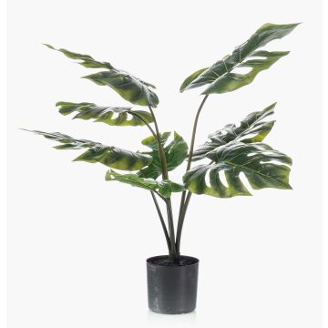 Filodendro finto Monstera Deliciosa TREA, 60cm