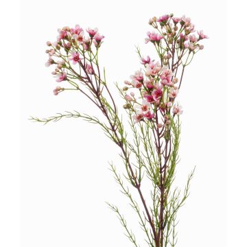 Fiore di cera finto MEDEA, rosa, 80cm