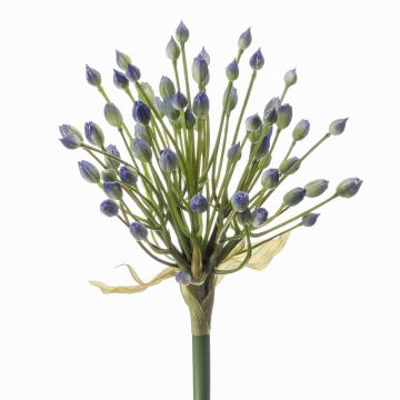 Allium finto KATYNA, blu, 70cm Allium finto KATYNA, blu, 70cm