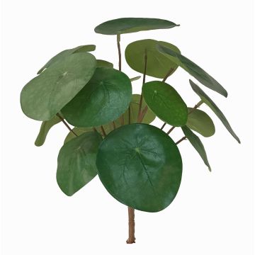 Pianta delle monete finta SYBIL su stelo, verde, 20cm Pianta delle monete finta SYBIL su stelo, verde, 20cm