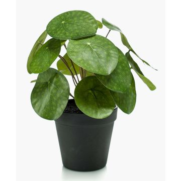 Pianta delle monete finta SYBIL, verde, 20cm Pianta delle monete finta SYBIL, verde, 20cm