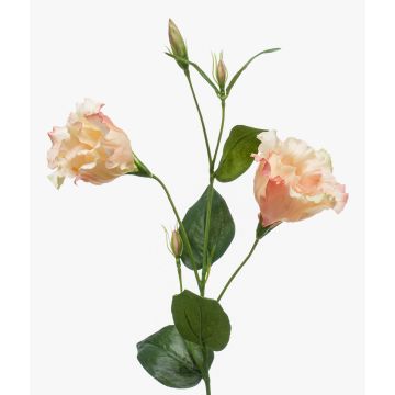 Lisianthus finto JENO, rosa crema, 60cm Lisianthus finto JENO, rosa crema, 60cm