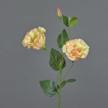 Lisianthus finto JENO, rosa crema, 60cm