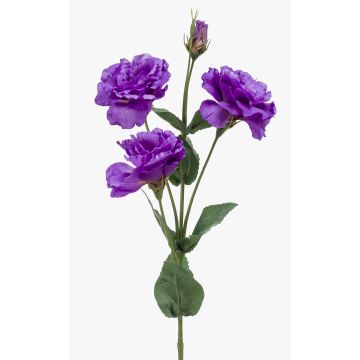 Lisianthus finto JENO, viola, 70cm