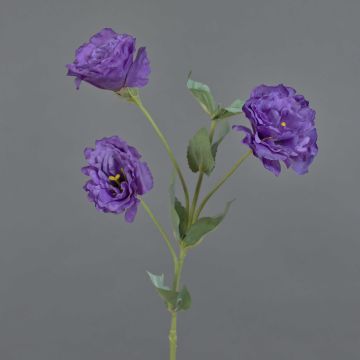 Lisianthus finto JENO, viola, 70cm