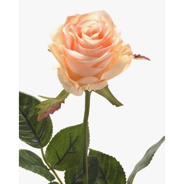 Rosa finta BRINA, rosa crema, 70cm Rosa finta BRINA, rosa crema, 70cm