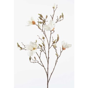 Magnolia finta CAELO, crema, 105cm