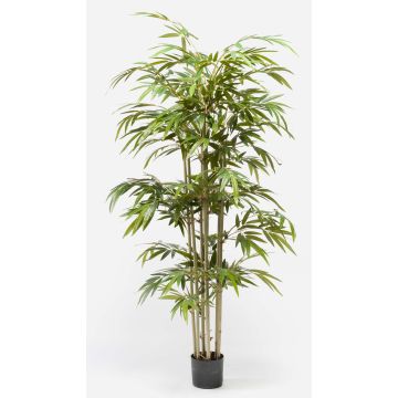 Bambù artificiale TAMANE, tronchi naturali, 180cm Bambù artificiale TAMANE, tronchi naturali, 180cm