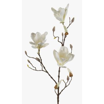 Magnolia decorativa MALVAO, crema, 90cm Magnolia decorativa MALVAO, crema, 90cm