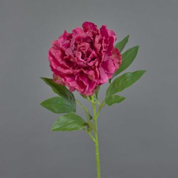 Peonia di plastica DIVIN, fucsia, 65cm Peonia di plastica DIVIN, fucsia, 65cm