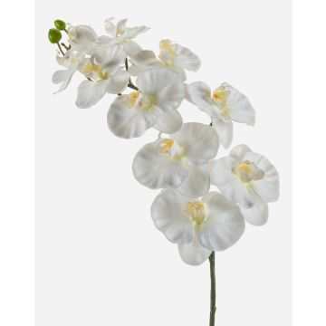 Ramo finto di orchidee Phalaenopsis ANAT, crema, 100cm