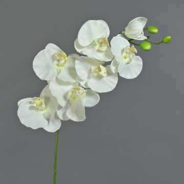 Ramo finto di orchidee Phalaenopsis BASTET, bianco, 80cm Ramo finto di orchidee Phalaenopsis BASTET, bianco, 80cm