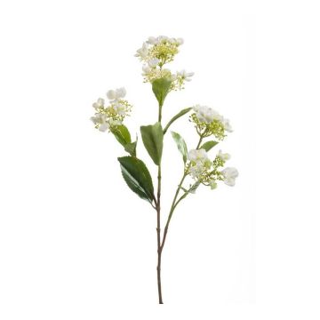 Ortensia decorativa ALAZNE, crema, 75cm