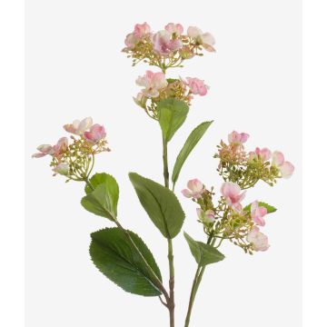 Ortensia decorativa ALAZNE, rosa, 75cm Ortensia decorativa ALAZNE, rosa, 75cm