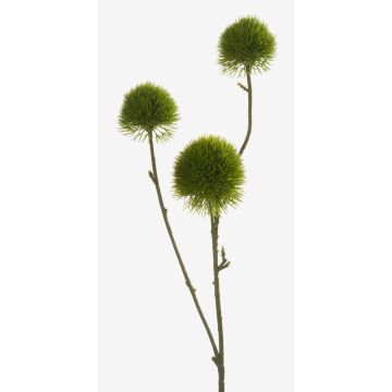 Cardo finto BRANCO, verde, 60cm