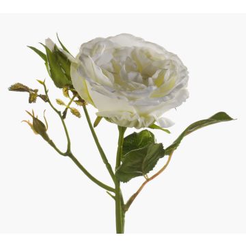 Rosa artificiale CESCA, crema, 40cm Rosa artificiale CESCA, crema, 40cm