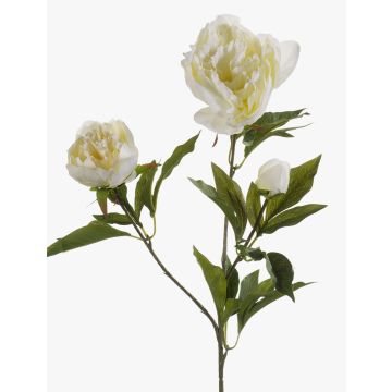 Peonia decorativa MISTI, crema, 70cm Peonia decorativa MISTI, crema, 70cm