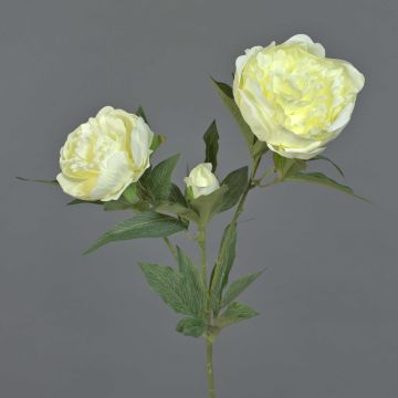 Peonia decorativa MISTI, crema, 70cm