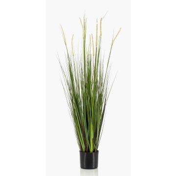 Erba di coda di volpe finta OTIS con pannocchie, verde, 120cm