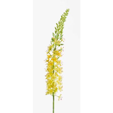 Fiore finto di candela del deserto AOMORI, giallo, 105cm Fiore finto di candela del deserto AOMORI, giallo, 105cm
