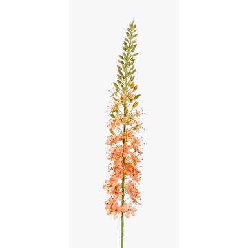 Fiore finto di candela del deserto AOMORI, crema-rosa, 105cm Fiore finto di candela del deserto AOMORI, crema-rosa, 105cm