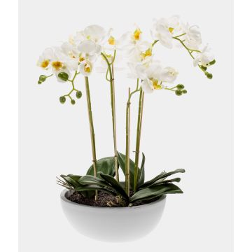 Orchidea artificiale Phalaenopsis MINA in vaso di ceramica, bianca, 60cm Orchidea artificiale Phalaenopsis MINA in vaso di ceramica, bianca, 60cm