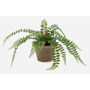 Felce artificiale BELONA in vaso di terracotta, verde, 50 cm