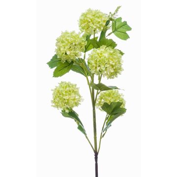 Ramo di viburnum artificiale FONTE, verde chiaro, 75cm Ramo di viburnum artificiale FONTE, verde chiaro, 75cm